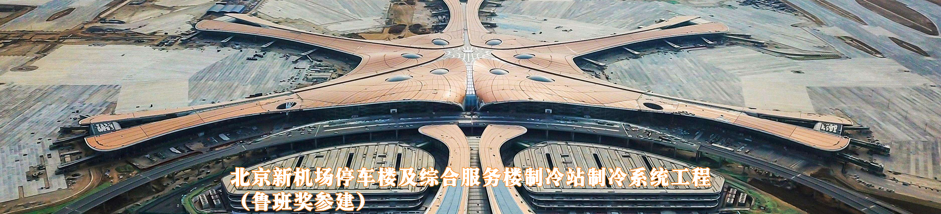 黄A无码片内射无码视频