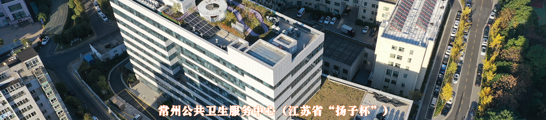 黄A无码片内射无码视频
